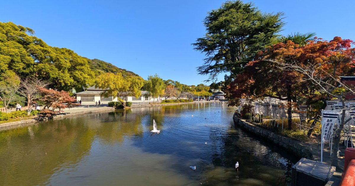 鶴岡八幡宮 源氏池