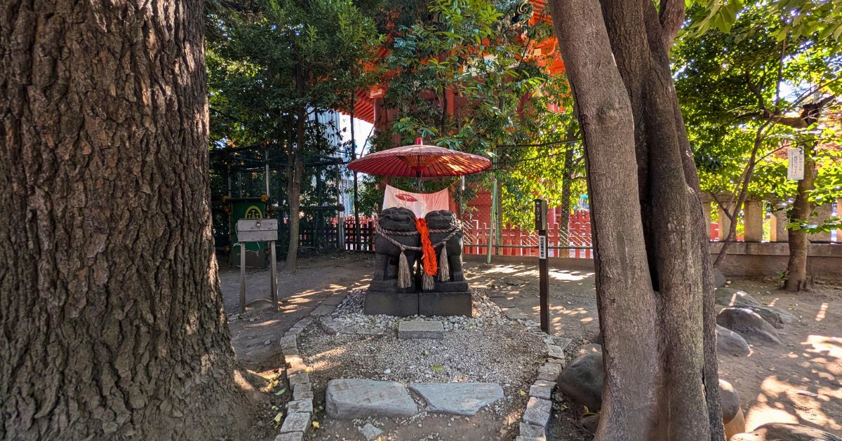 浅草神社 夫婦狛犬