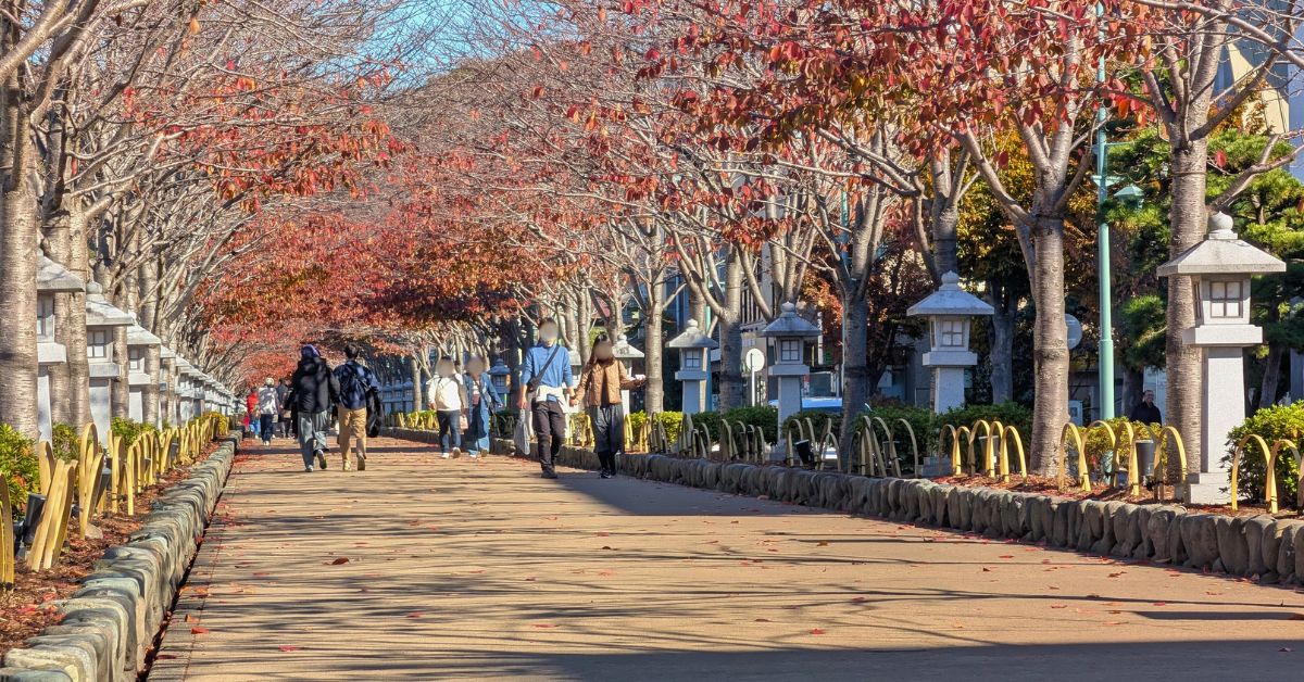 鶴岡八幡宮, 鎌倉, 勝運,武運の神,出世運,パワースポット,鎌倉幕府,源頼朝,北条政子