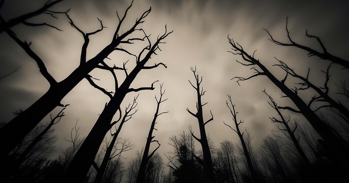 厄年,厄年2026,厄年女性,厄年男性,厄払い,厄除け